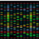 Illustration for article titled How Your Bodys Unique Biosignatures Are Used for Surveillance